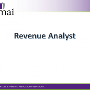 Job descr - Revenue Analyst